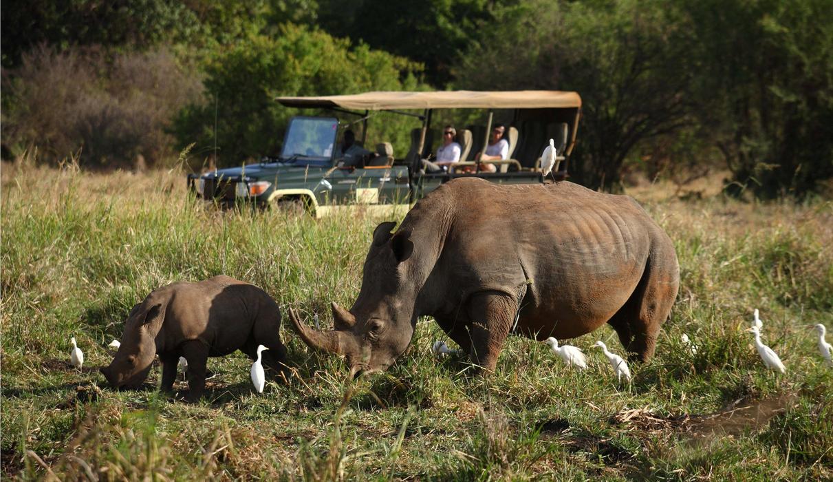Wonderful game viewing opportunities